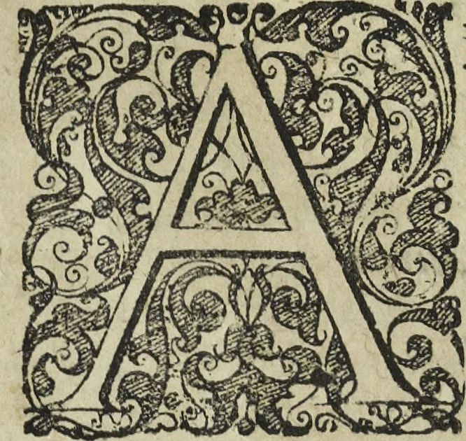 An illustration from Oculus artificialis teledioptricus, sive, Telescopium : ex abditis rerum naturalium & artificialium principiis protractum novâ methodo, eâque solidâ explicatum ac comprimis è triplici fundamento physico seu naturali, mathematico dioptrico et mechanico, seu practico stabilitum ..., 1685, leaf 308