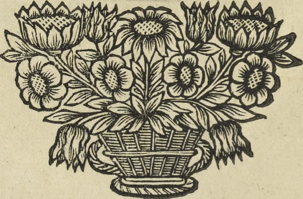 An illustration from Oculus artificialis teledioptricus, sive, Telescopium : ex abditis rerum naturalium & artificialium principiis protractum novâ methodo, eâque solidâ explicatum ac comprimis è triplici fundamento physico seu naturali, mathematico dioptrico et mechanico, seu practico stabilitum ..., 1685, leaf 31