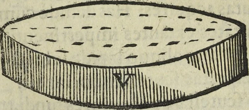 An illustration from Oculus artificialis teledioptricus, sive, Telescopium : ex abditis rerum naturalium & artificialium principiis protractum novâ methodo, eâque solidâ explicatum ac comprimis è triplici fundamento physico seu naturali, mathematico dioptrico et mechanico, seu practico stabilitum ..., 1685, leaf 318