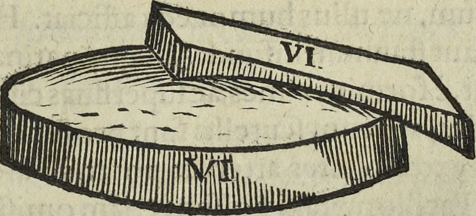 An illustration from Oculus artificialis teledioptricus, sive, Telescopium : ex abditis rerum naturalium & artificialium principiis protractum novâ methodo, eâque solidâ explicatum ac comprimis è triplici fundamento physico seu naturali, mathematico dioptrico et mechanico, seu practico stabilitum ..., 1685, leaf 318