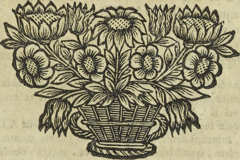 An illustration from Oculus artificialis teledioptricus, sive, Telescopium : ex abditis rerum naturalium & artificialium principiis protractum novâ methodo, eâque solidâ explicatum ac comprimis è triplici fundamento physico seu naturali, mathematico dioptrico et mechanico, seu practico stabilitum ..., 1685, leaf 36