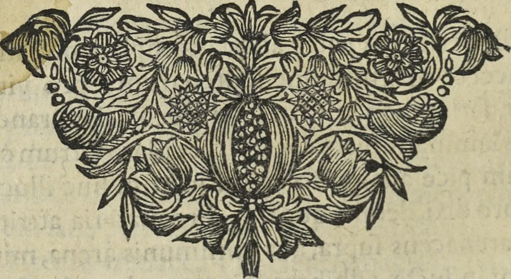 An illustration from Oculus artificialis teledioptricus, sive, Telescopium : ex abditis rerum naturalium & artificialium principiis protractum novâ methodo, eâque solidâ explicatum ac comprimis è triplici fundamento physico seu naturali, mathematico dioptrico et mechanico, seu practico stabilitum ..., 1685, leaf 383