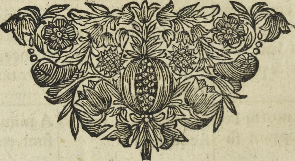 An illustration from Oculus artificialis teledioptricus, sive, Telescopium : ex abditis rerum naturalium & artificialium principiis protractum novâ methodo, eâque solidâ explicatum ac comprimis è triplici fundamento physico seu naturali, mathematico dioptrico et mechanico, seu practico stabilitum ..., 1685, leaf 409