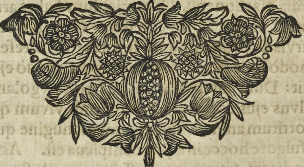 An illustration from Oculus artificialis teledioptricus, sive, Telescopium : ex abditis rerum naturalium & artificialium principiis protractum novâ methodo, eâque solidâ explicatum ac comprimis è triplici fundamento physico seu naturali, mathematico dioptrico et mechanico, seu practico stabilitum ..., 1685, leaf 431