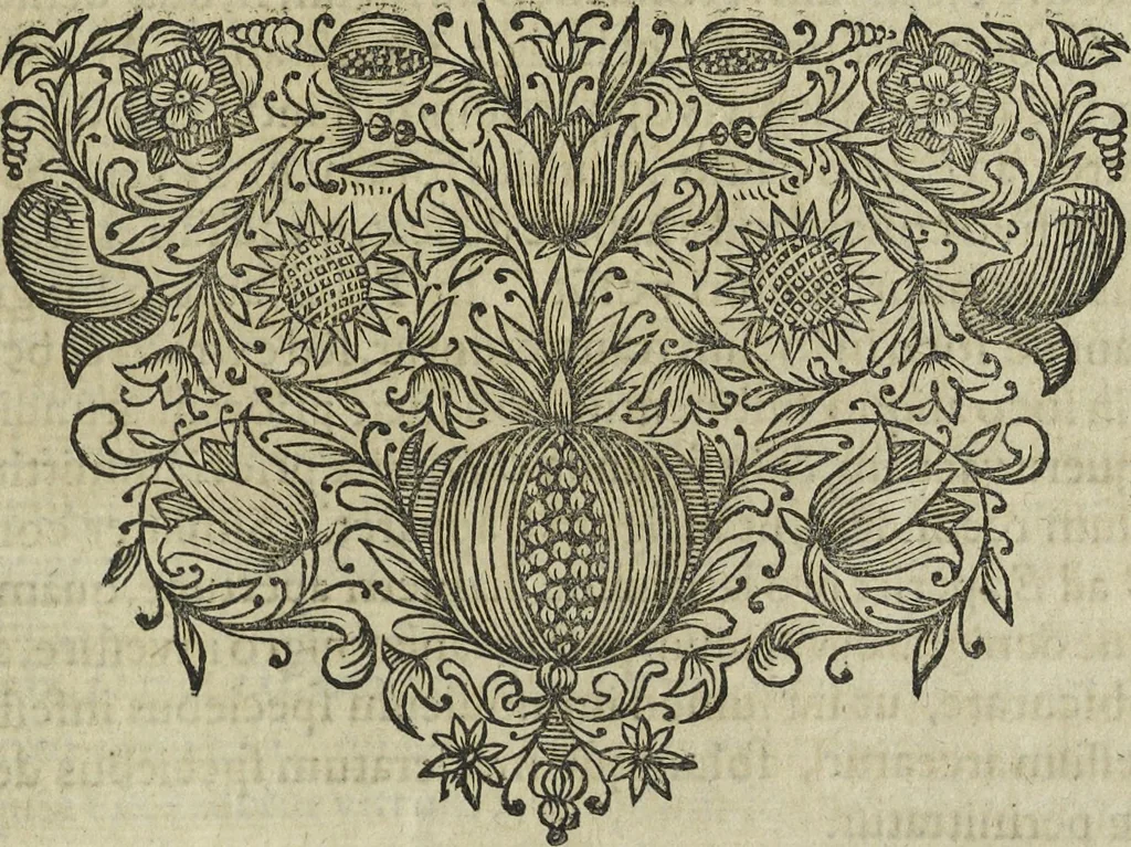 An illustration from Oculus artificialis teledioptricus, sive, Telescopium : ex abditis rerum naturalium & artificialium principiis protractum novâ methodo, eâque solidâ explicatum ac comprimis è triplici fundamento physico seu naturali, mathematico dioptrico et mechanico, seu practico stabilitum ..., 1685, leaf 458
