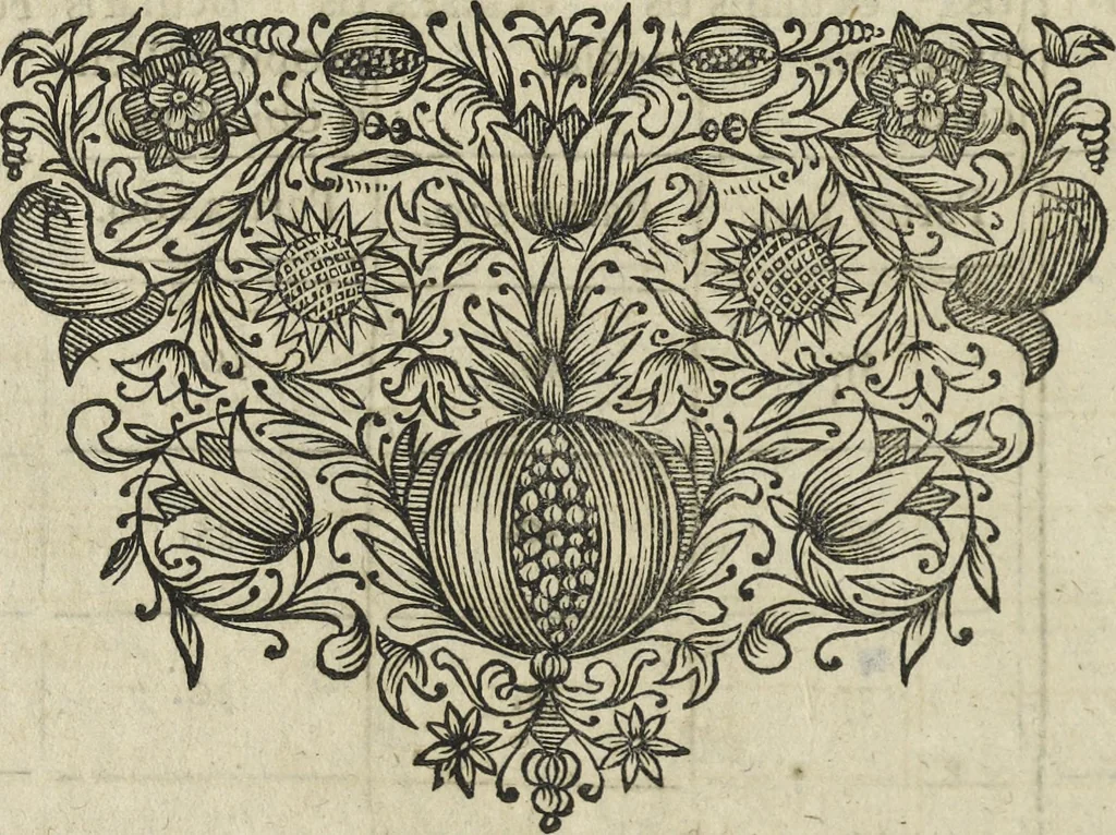 An illustration from Oculus artificialis teledioptricus, sive, Telescopium : ex abditis rerum naturalium & artificialium principiis protractum novâ methodo, eâque solidâ explicatum ac comprimis è triplici fundamento physico seu naturali, mathematico dioptrico et mechanico, seu practico stabilitum ..., 1685, leaf 463