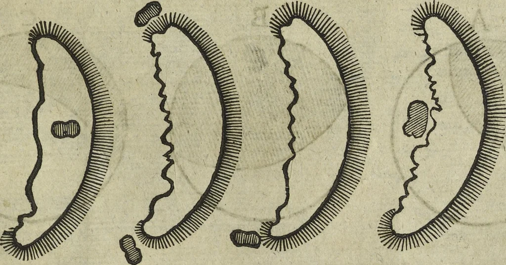 An illustration from Oculus artificialis teledioptricus, sive, Telescopium : ex abditis rerum naturalium & artificialium principiis protractum novâ methodo, eâque solidâ explicatum ac comprimis è triplici fundamento physico seu naturali, mathematico dioptrico et mechanico, seu practico stabilitum ..., 1685, leaf 528