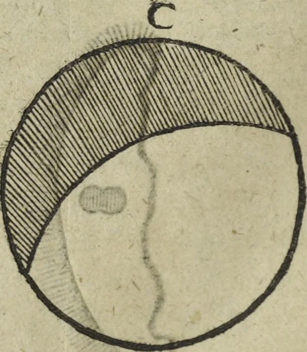 An illustration from Oculus artificialis teledioptricus, sive, Telescopium : ex abditis rerum naturalium & artificialium principiis protractum novâ methodo, eâque solidâ explicatum ac comprimis è triplici fundamento physico seu naturali, mathematico dioptrico et mechanico, seu practico stabilitum ..., 1685, leaf 529