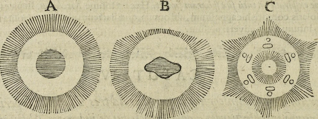 An illustration from Oculus artificialis teledioptricus, sive, Telescopium : ex abditis rerum naturalium & artificialium principiis protractum novâ methodo, eâque solidâ explicatum ac comprimis è triplici fundamento physico seu naturali, mathematico dioptrico et mechanico, seu practico stabilitum ..., 1685, leaf 541