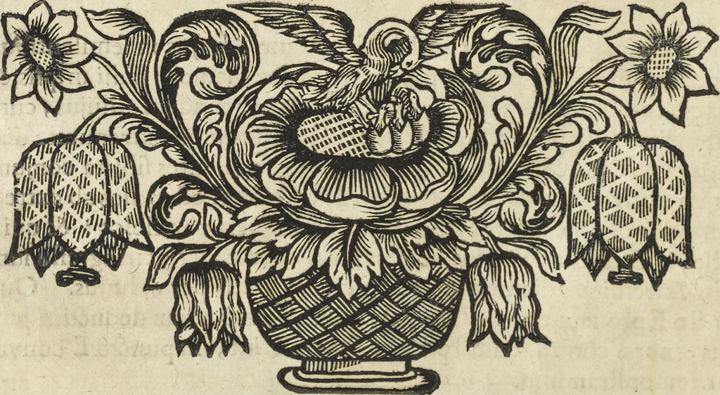 An illustration from Oculus artificialis teledioptricus, sive, Telescopium : ex abditis rerum naturalium & artificialium principiis protractum novâ methodo, eâque solidâ explicatum ac comprimis è triplici fundamento physico seu naturali, mathematico dioptrico et mechanico, seu practico stabilitum ..., 1685, leaf 55