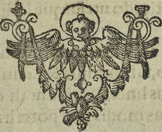 An illustration from Oculus artificialis teledioptricus, sive, Telescopium : ex abditis rerum naturalium & artificialium principiis protractum novâ methodo, eâque solidâ explicatum ac comprimis è triplici fundamento physico seu naturali, mathematico dioptrico et mechanico, seu practico stabilitum ..., 1685, leaf 556