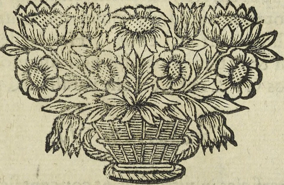 An illustration from Oculus artificialis teledioptricus, sive, Telescopium : ex abditis rerum naturalium & artificialium principiis protractum novâ methodo, eâque solidâ explicatum ac comprimis è triplici fundamento physico seu naturali, mathematico dioptrico et mechanico, seu practico stabilitum ..., 1685, leaf 58