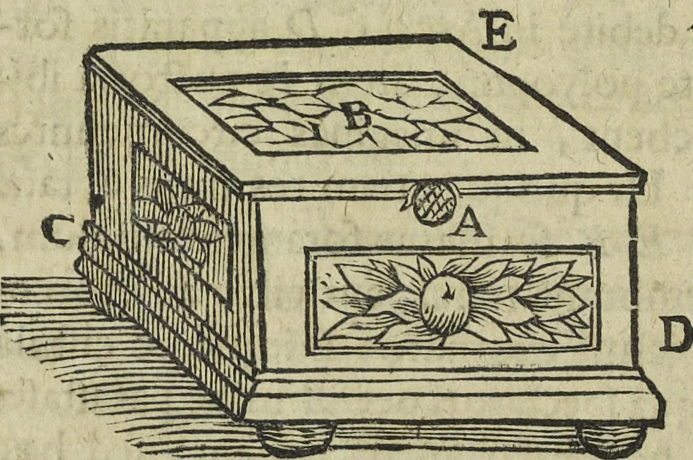 An illustration from Oculus artificialis teledioptricus, sive, Telescopium : ex abditis rerum naturalium & artificialium principiis protractum novâ methodo, eâque solidâ explicatum ac comprimis è triplici fundamento physico seu naturali, mathematico dioptrico et mechanico, seu practico stabilitum ..., 1685, leaf 628