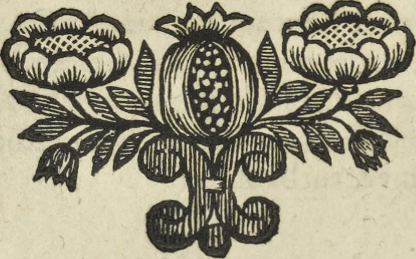 An illustration from Oculus artificialis teledioptricus, sive, Telescopium : ex abditis rerum naturalium & artificialium principiis protractum novâ methodo, eâque solidâ explicatum ac comprimis è triplici fundamento physico seu naturali, mathematico dioptrico et mechanico, seu practico stabilitum ..., 1685, leaf 75