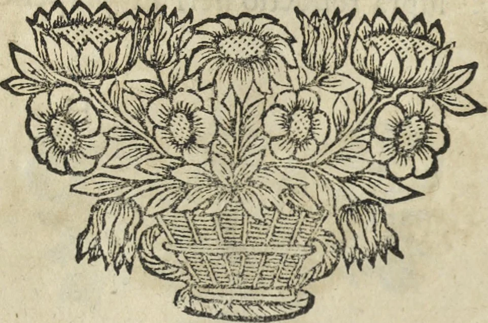An illustration from Oculus artificialis teledioptricus, sive, Telescopium : ex abditis rerum naturalium & artificialium principiis protractum novâ methodo, eâque solidâ explicatum ac comprimis è triplici fundamento physico seu naturali, mathematico dioptrico et mechanico, seu practico stabilitum ..., 1685, leaf 77