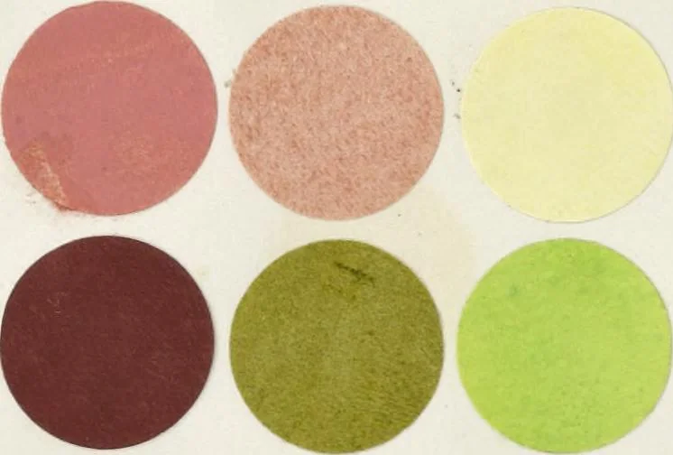 An illustration from Principles of the science of colour : concisely stated to aid and promote their useful application in the decorative arts, 1872, leaf 53