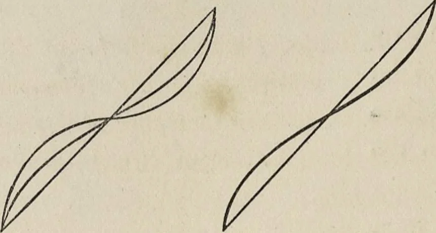 An illustration from The grammar of ornament, 1868, leaf 175