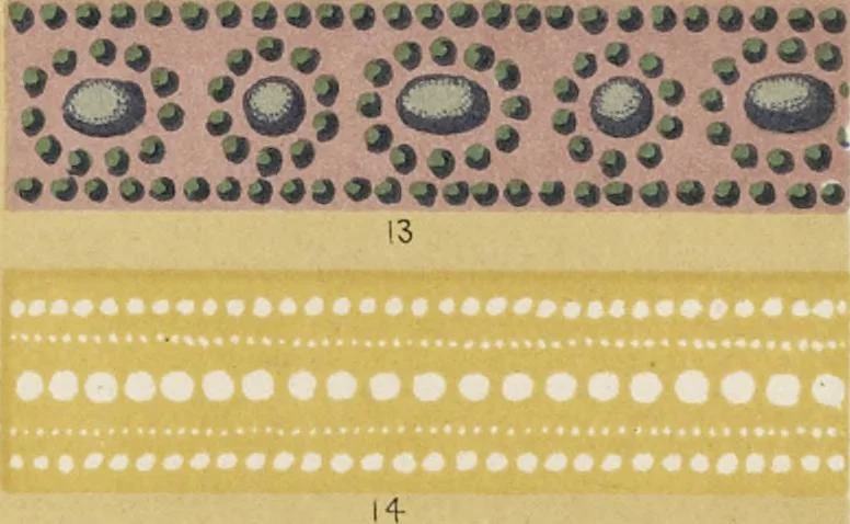 An illustration from The grammar of ornament, 1868, leaf 216