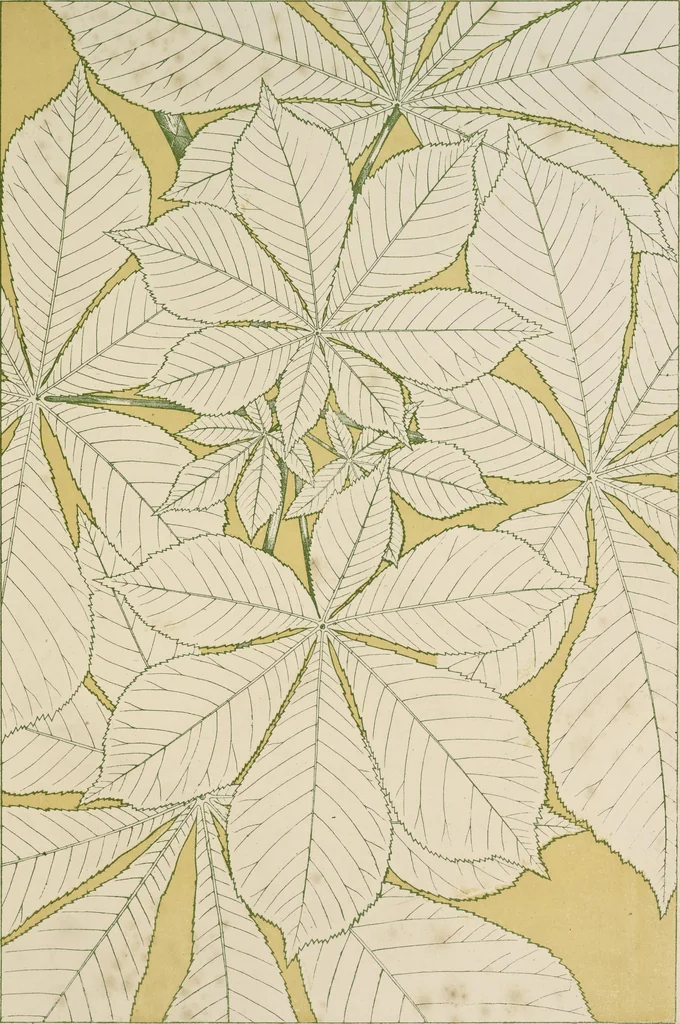 An illustration from The grammar of ornament, 1868, leaf 360