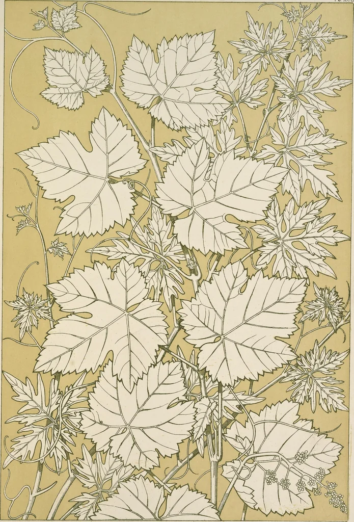 An illustration from The grammar of ornament, 1868, leaf 362