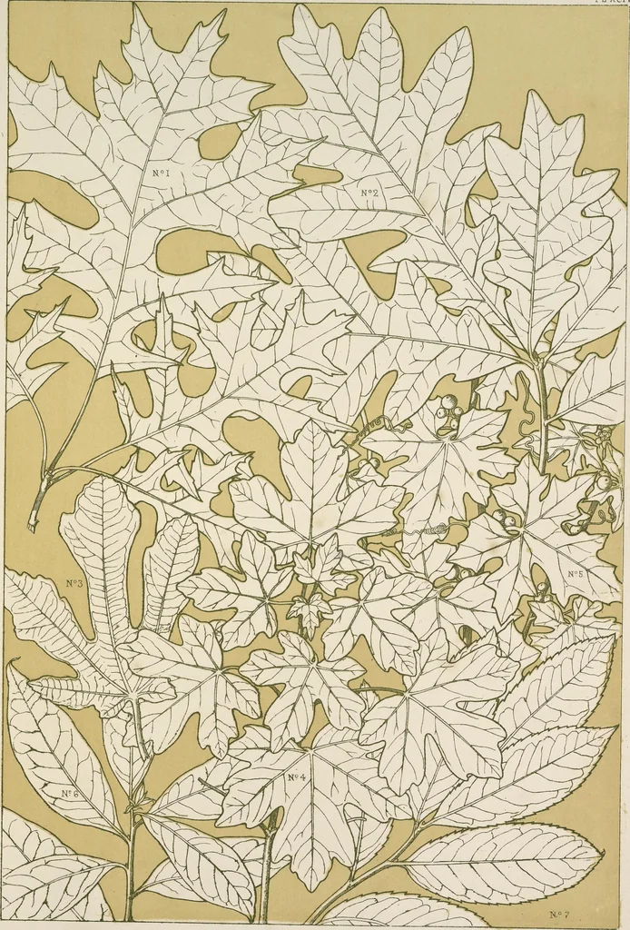 An illustration from The grammar of ornament, 1868, leaf 366