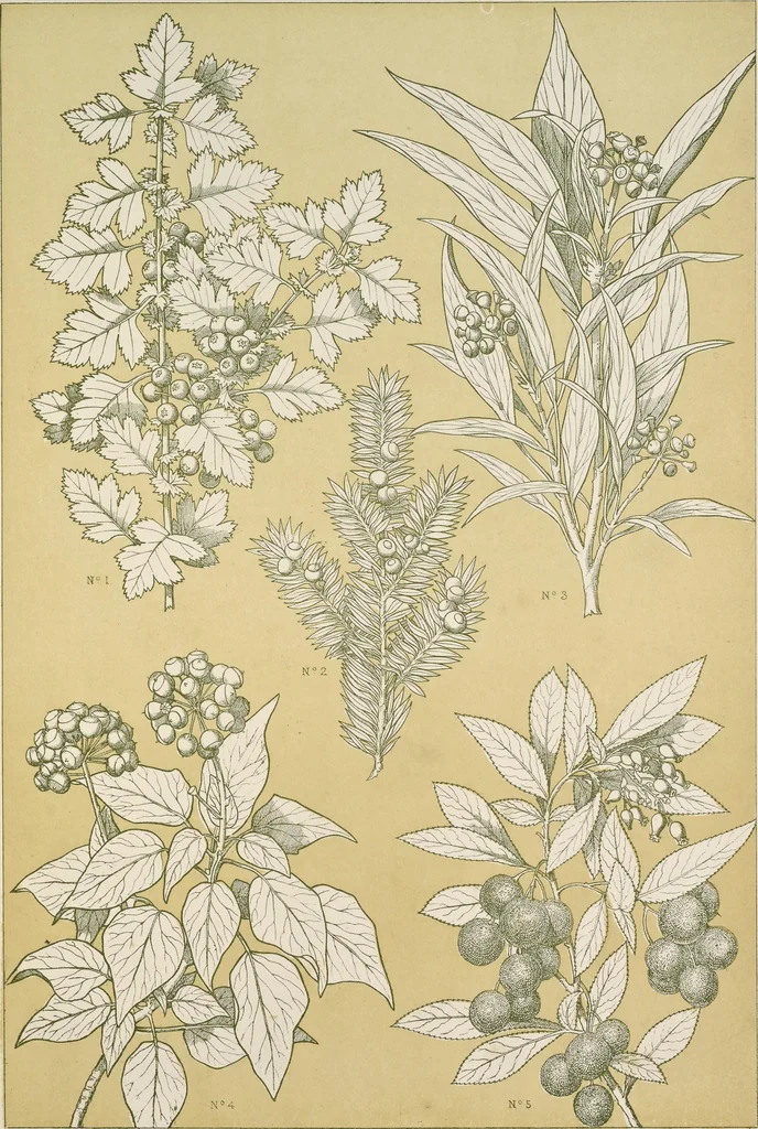 An illustration from The grammar of ornament, 1868, leaf 372