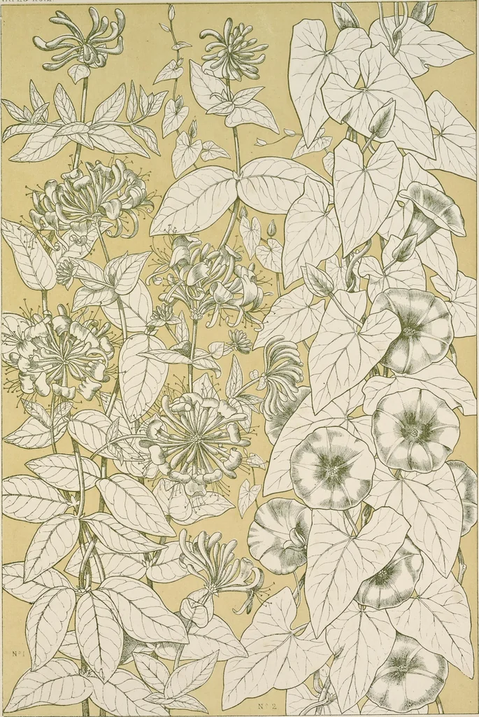 An illustration from The grammar of ornament, 1868, leaf 376