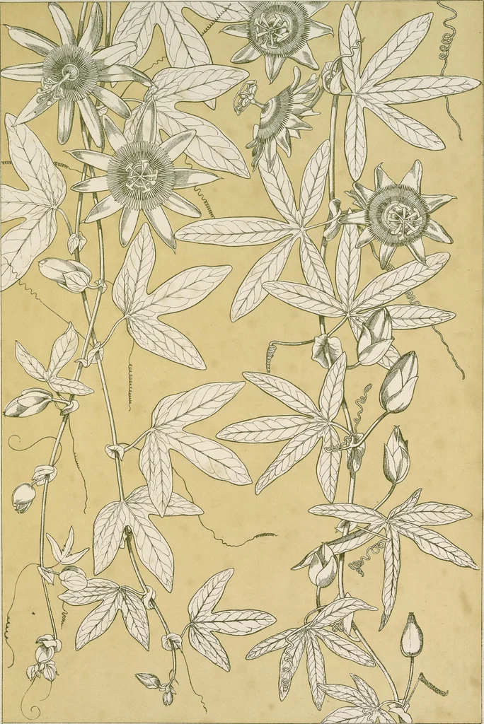 An illustration from The grammar of ornament, 1868, leaf 378