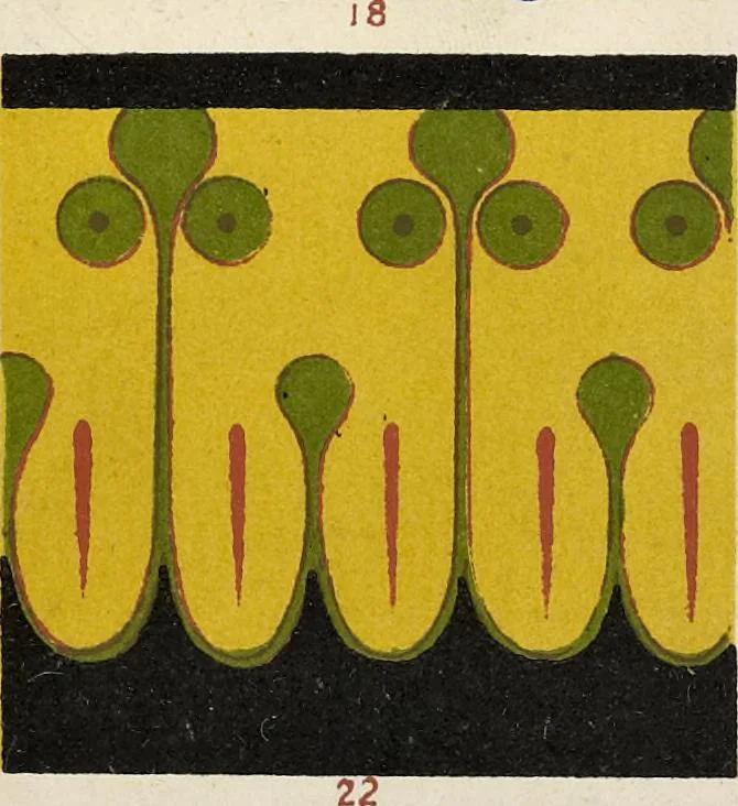An illustration from The grammar of ornament, 1868, leaf 50