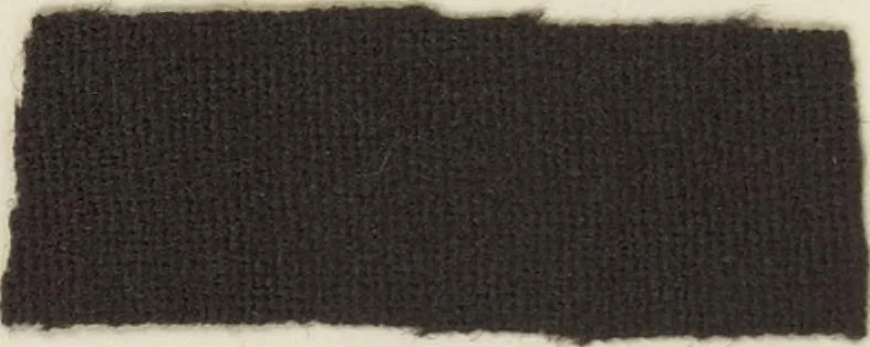 An illustration from The American practical dyer's companion : comprising a description of the principal dye-stuffs and chemicals used in dyeing, their nature and uses, mordants, and how made : with the best American, English, French, and German processes ... embracing in all over eight hundred receipts for colors and shades, accompanied by one hundred and seventy dyed samples of raw materials and fabrics, 1882, leaf 141