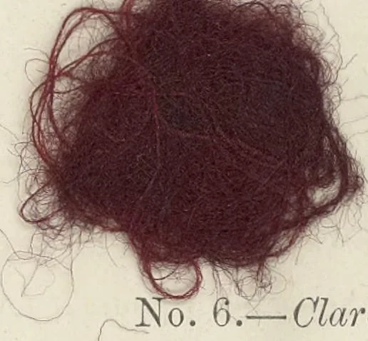 An illustration from The American practical dyer's companion : comprising a description of the principal dye-stuffs and chemicals used in dyeing, their nature and uses, mordants, and how made : with the best American, English, French, and German processes ... embracing in all over eight hundred receipts for colors and shades, accompanied by one hundred and seventy dyed samples of raw materials and fabrics, 1882, leaf 152
