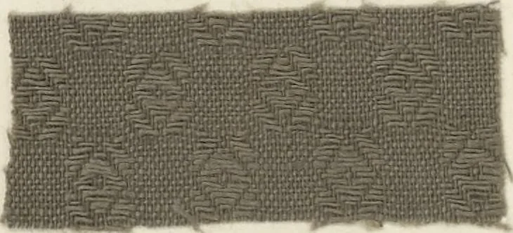 An illustration from The American practical dyer's companion : comprising a description of the principal dye-stuffs and chemicals used in dyeing, their nature and uses, mordants, and how made : with the best American, English, French, and German processes ... embracing in all over eight hundred receipts for colors and shades, accompanied by one hundred and seventy dyed samples of raw materials and fabrics, 1882, leaf 169