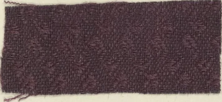 An illustration from The American practical dyer's companion : comprising a description of the principal dye-stuffs and chemicals used in dyeing, their nature and uses, mordants, and how made : with the best American, English, French, and German processes ... embracing in all over eight hundred receipts for colors and shades, accompanied by one hundred and seventy dyed samples of raw materials and fabrics, 1882, leaf 174
