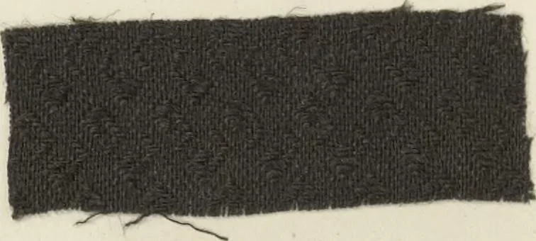 An illustration from The American practical dyer's companion : comprising a description of the principal dye-stuffs and chemicals used in dyeing, their nature and uses, mordants, and how made : with the best American, English, French, and German processes ... embracing in all over eight hundred receipts for colors and shades, accompanied by one hundred and seventy dyed samples of raw materials and fabrics, 1882, leaf 175