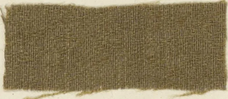 An illustration from The American practical dyer's companion : comprising a description of the principal dye-stuffs and chemicals used in dyeing, their nature and uses, mordants, and how made : with the best American, English, French, and German processes ... embracing in all over eight hundred receipts for colors and shades, accompanied by one hundred and seventy dyed samples of raw materials and fabrics, 1882, leaf 179