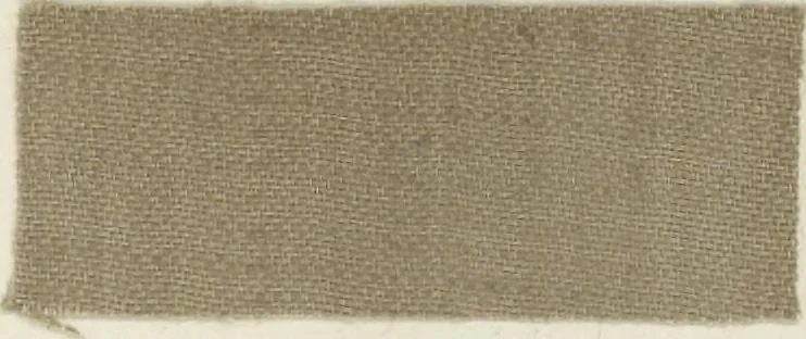 An illustration from The American practical dyer's companion : comprising a description of the principal dye-stuffs and chemicals used in dyeing, their nature and uses, mordants, and how made : with the best American, English, French, and German processes ... embracing in all over eight hundred receipts for colors and shades, accompanied by one hundred and seventy dyed samples of raw materials and fabrics, 1882, leaf 212