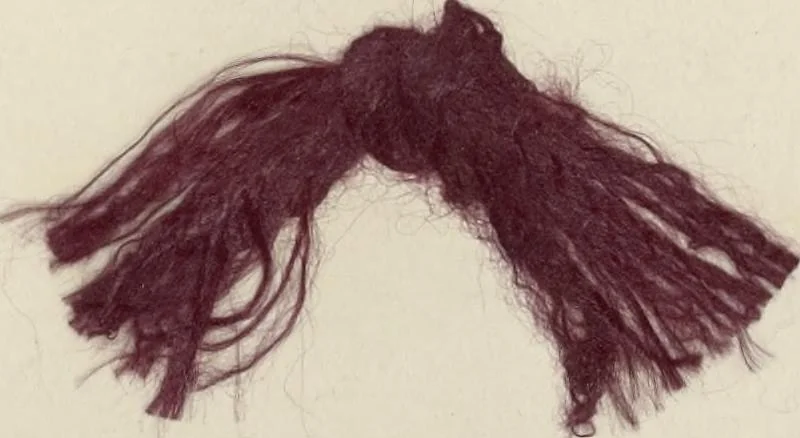 An illustration from The American practical dyer's companion : comprising a description of the principal dye-stuffs and chemicals used in dyeing, their nature and uses, mordants, and how made : with the best American, English, French, and German processes ... embracing in all over eight hundred receipts for colors and shades, accompanied by one hundred and seventy dyed samples of raw materials and fabrics, 1882, leaf 58