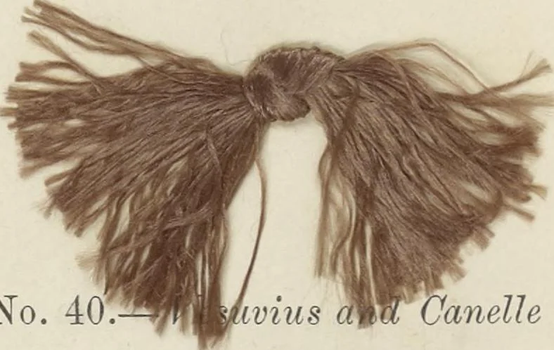An illustration from The American practical dyer's companion : comprising a description of the principal dye-stuffs and chemicals used in dyeing, their nature and uses, mordants, and how made : with the best American, English, French, and German processes ... embracing in all over eight hundred receipts for colors and shades, accompanied by one hundred and seventy dyed samples of raw materials and fabrics, 1882, leaf 61