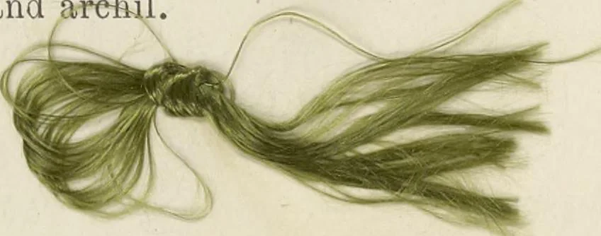 An illustration from The American practical dyer's companion : comprising a description of the principal dye-stuffs and chemicals used in dyeing, their nature and uses, mordants, and how made : with the best American, English, French, and German processes ... embracing in all over eight hundred receipts for colors and shades, accompanied by one hundred and seventy dyed samples of raw materials and fabrics, 1882, leaf 71