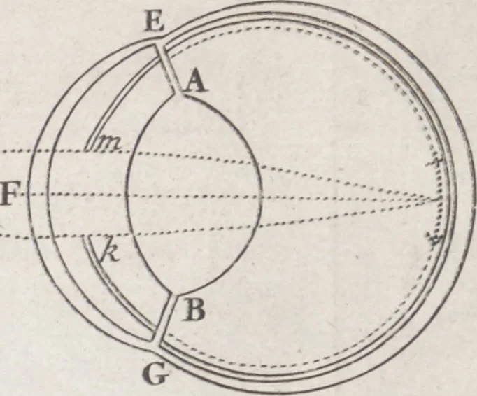 An illustration from Opticks, or, A treatise of the reflexions, refractions, inflexions and colours of light ; Also two treatises of the species and magnitude of curvilinear figures, 1704, leaf 28