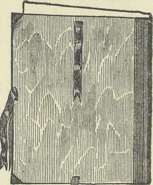 An illustration from The theory of colouring : being an analysis of the principles of contrast and harmony in the arrangement of colours : with their application to the study of nature, and hints on the composition of pictures, etc., 1872, leaf 113