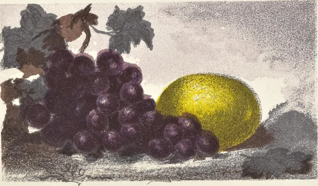 An illustration from The theory of colouring : being an analysis of the principles of contrast and harmony in the arrangement of colours : with their application to the study of nature, and hints on the composition of pictures, etc., 1872, leaf 42