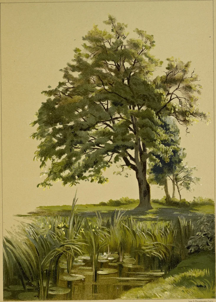 An illustration from Le mélange des couleurs enseigné par l'exemple : leçons données sur les fac-similés des oeuvres et des palettes : orangé, bleu, jaune, violet, rouge, vert, blanc, 1900, leaf 50