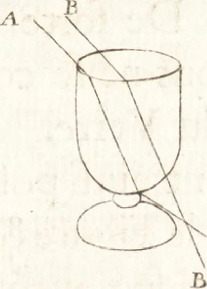 An illustration from Nouuelles obseruations et conjectures sur l'iris, 1650, leaf 308