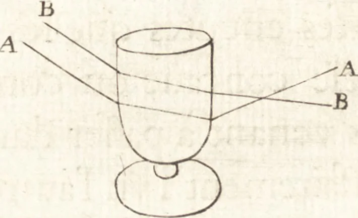An illustration from Nouuelles obseruations et conjectures sur l'iris, 1650, leaf 309