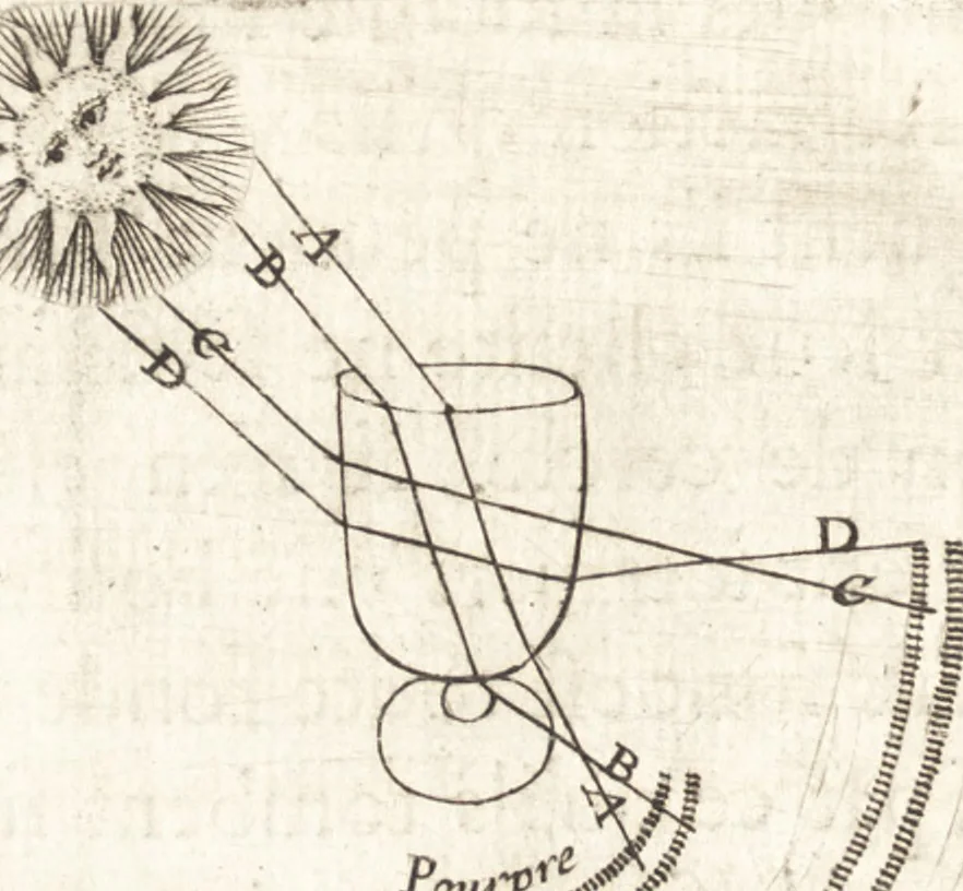 An illustration from Nouuelles obseruations et conjectures sur l'iris, 1650, leaf 311