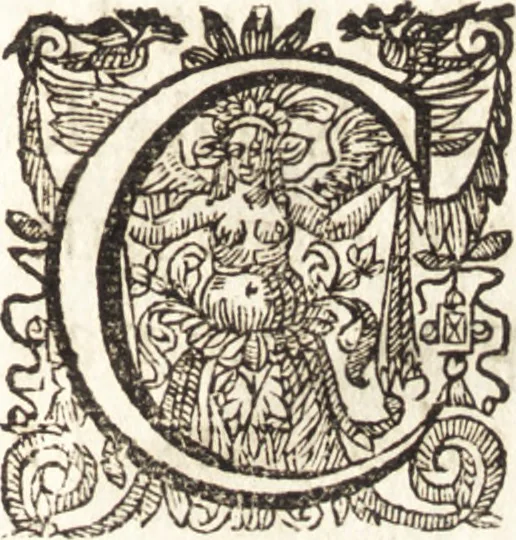 An illustration from Nouuelles obseruations et conjectures sur l'iris, 1650, leaf 38