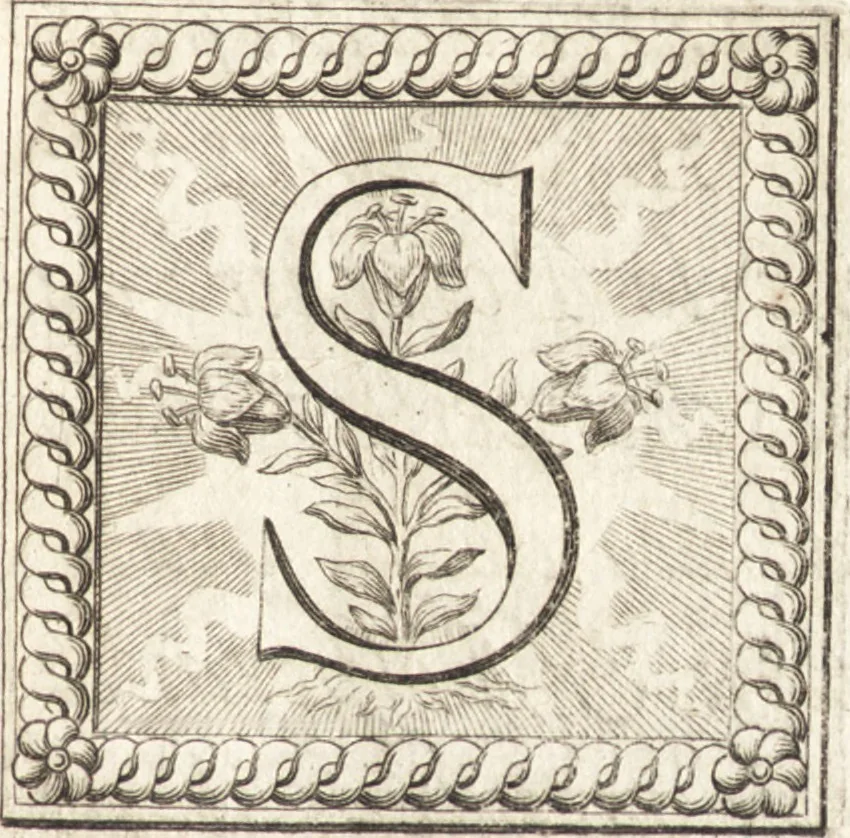 An illustration from Nouuelles obseruations et conjectures sur l'iris, 1650, leaf 8