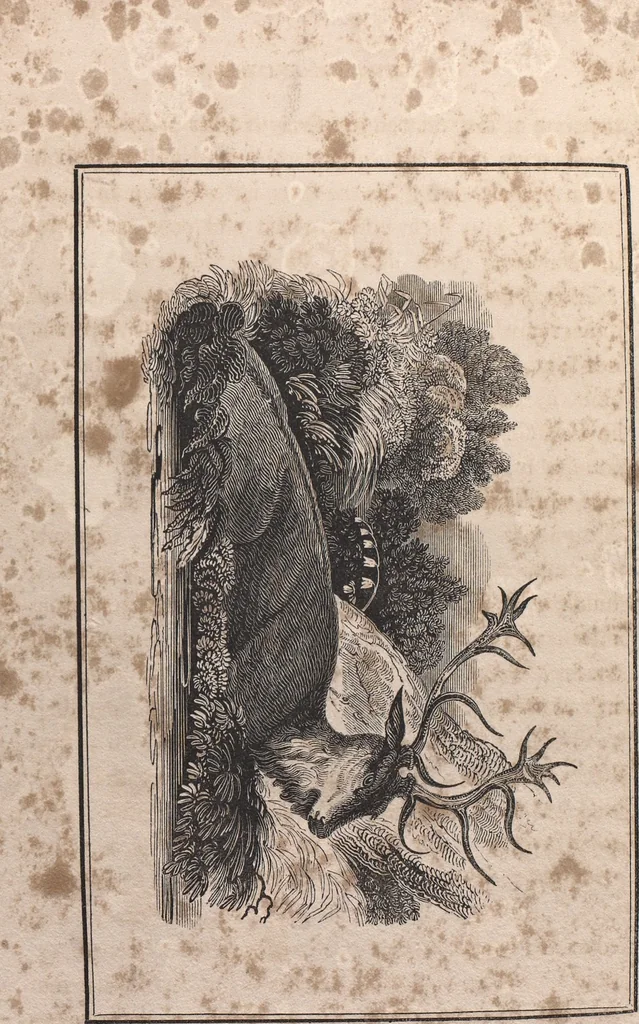 An illustration from The art of drawing in its various branches : exemplified in a course of twenty-eight progressive lessons, calculated to afford those who are unacquainted with the art, the means of acquiring a competent knowledge without the aid of a master : being the only work of the kind in which the principles of effect are explained in a clear, methodical, and at the same time familiar style, 1827, leaf 146