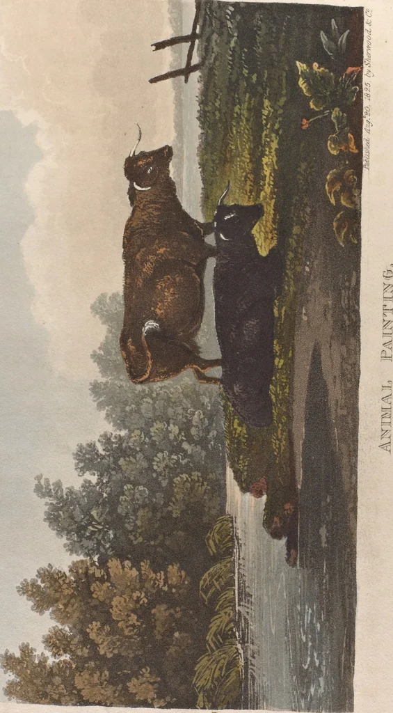 An illustration from The art of drawing in its various branches : exemplified in a course of twenty-eight progressive lessons, calculated to afford those who are unacquainted with the art, the means of acquiring a competent knowledge without the aid of a master : being the only work of the kind in which the principles of effect are explained in a clear, methodical, and at the same time familiar style, 1827, leaf 149